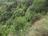 nte Rinatu-20110615 047